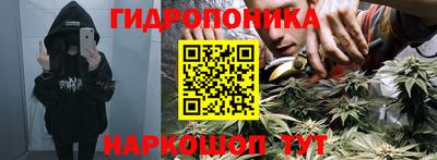 сатива Кунгур