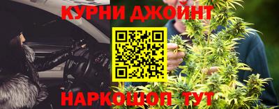 сатива Кунгур