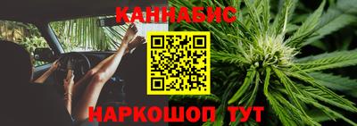 сатива Кунгур