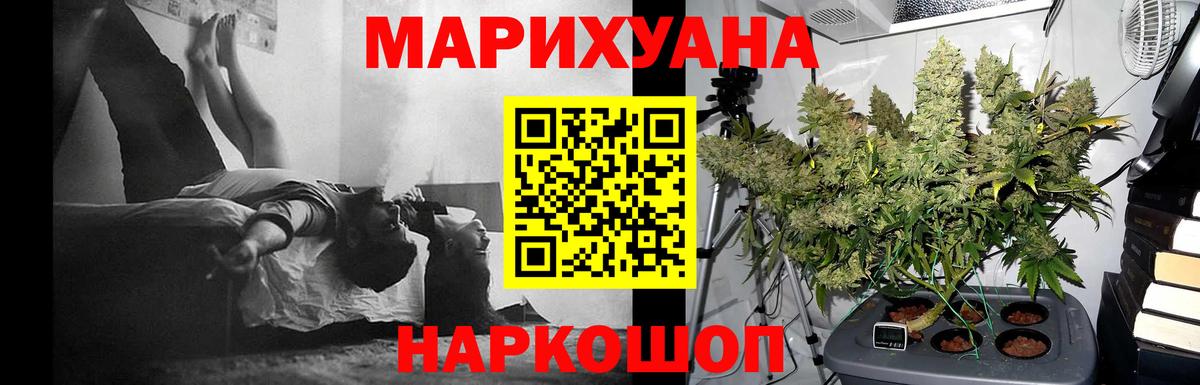 Шишки марихуана план  Шишки марихуана Bruce Banner  Бошки марихуана тримм  Шишки марихуана семена  Вход с VPN  Хасавюрт 